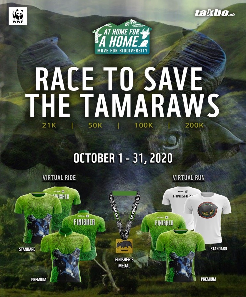 tamaraw2020 02