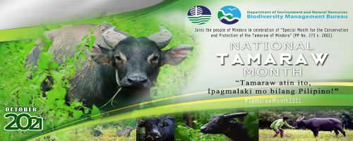 Tamaraw Month – October 2021