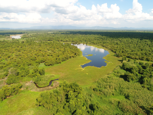 Cimatu Calls on Lawmakers to Legislate Wetland Protection