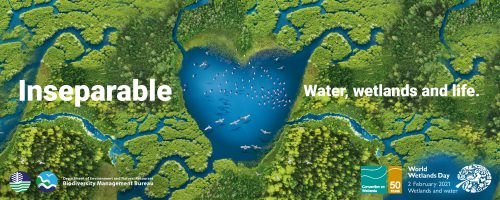 Inseparable: Water, Wetlands and Life 2021 Campaign Kickoff for Wetlands, Caves and Karst Ecosystems