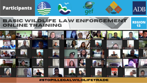 180 Trainees From DENR and Other Law Enforcement Agencies Graduate From Virtual Wildlife Law Enforcement Training