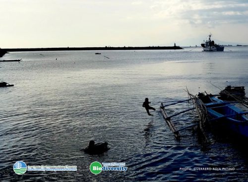 Keeping Manila Bay Healthier and Cleaner