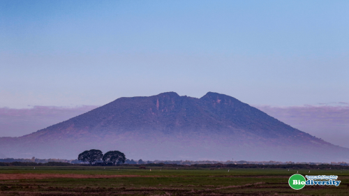 Raising Voices for Wetlands at Wwd 2019