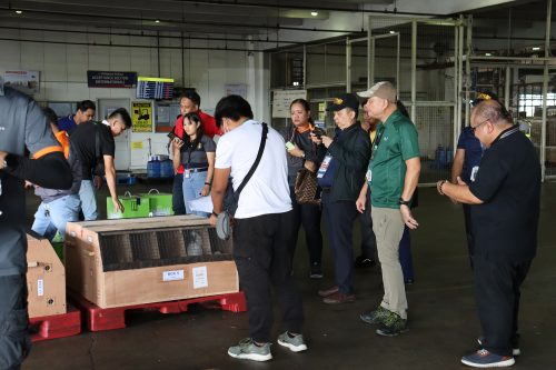 Repatriation of Confiscated Indonesian Birds: A Pledge for Wildlife Conservation and Protection