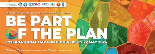 International Day for Biological Diversity 2024: Seizing the Philippines’ momentum for The Biodiversity Plan