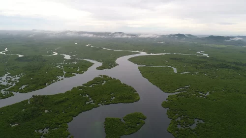 Two new PH Wetlands of International Importance named